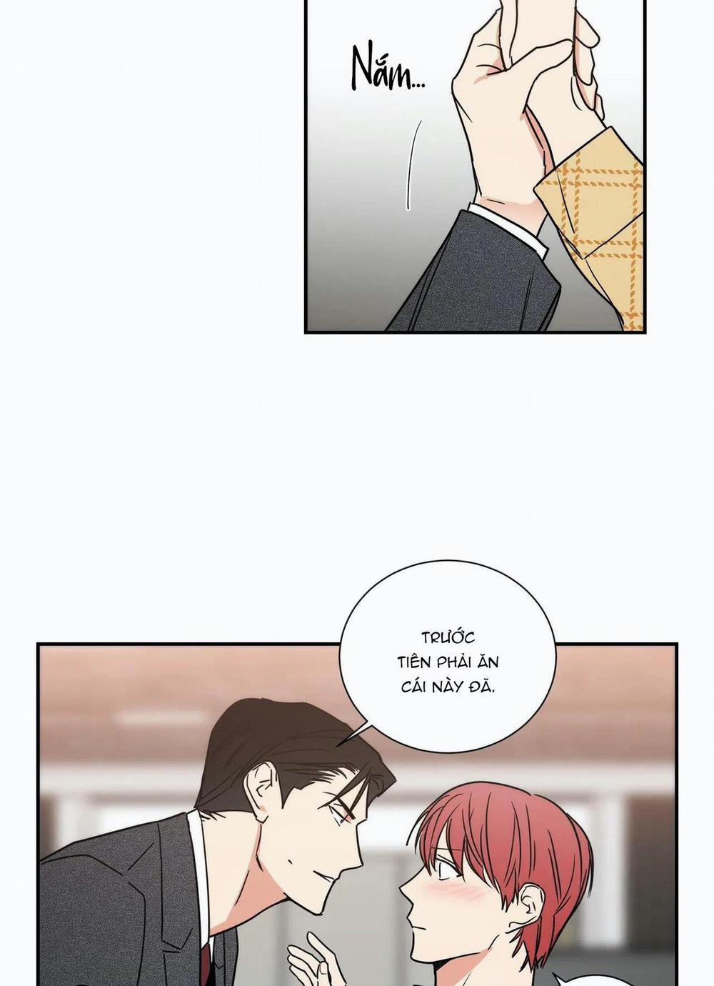 Mâu thuẫn và tương phản 77 trang 17