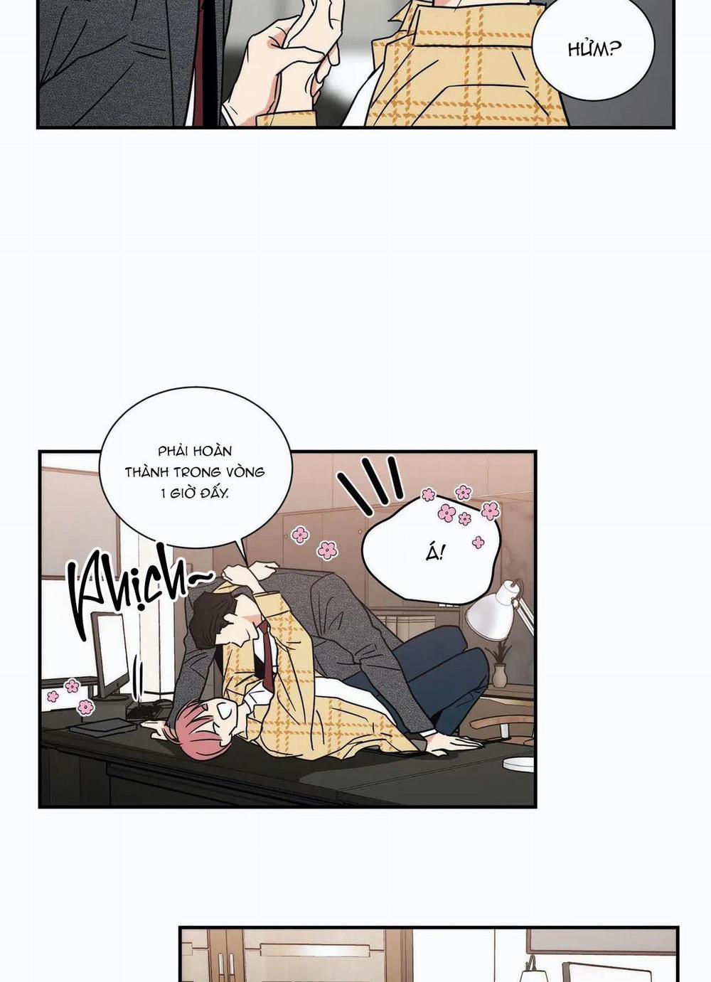 Mâu thuẫn và tương phản 77 trang 18