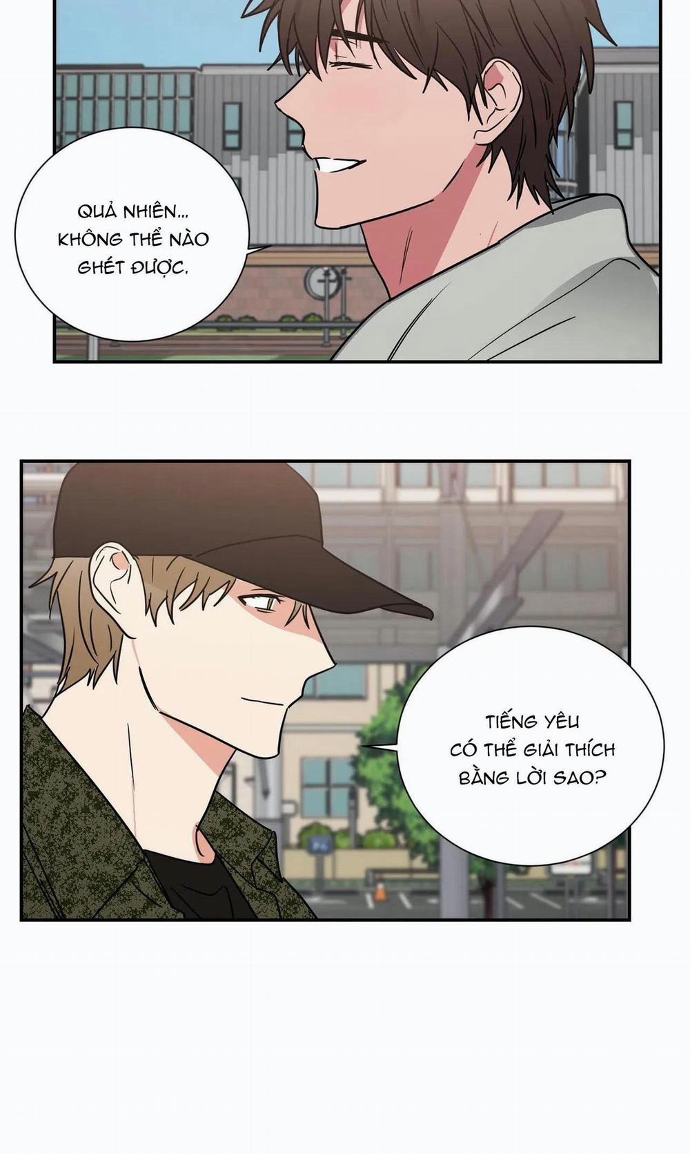 Mâu thuẫn và tương phản 77 trang 45