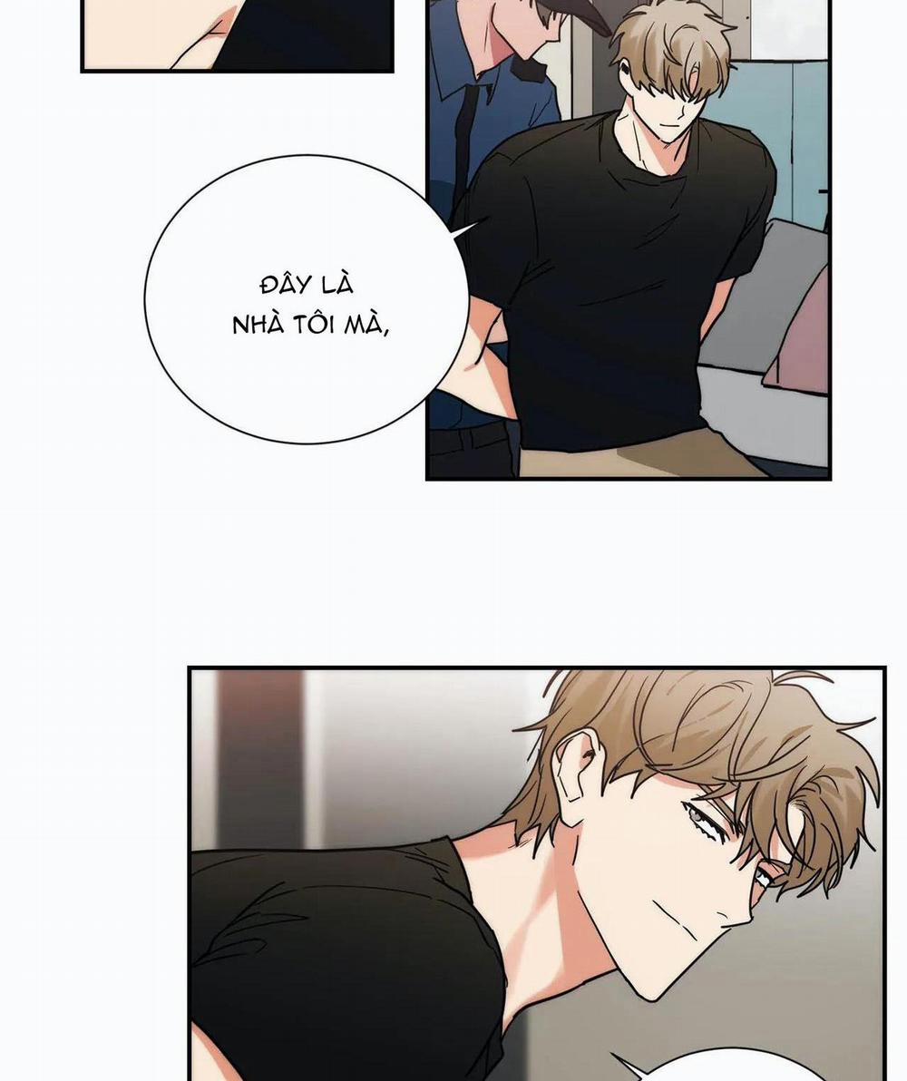 Mâu thuẫn và tương phản 78 trang 24