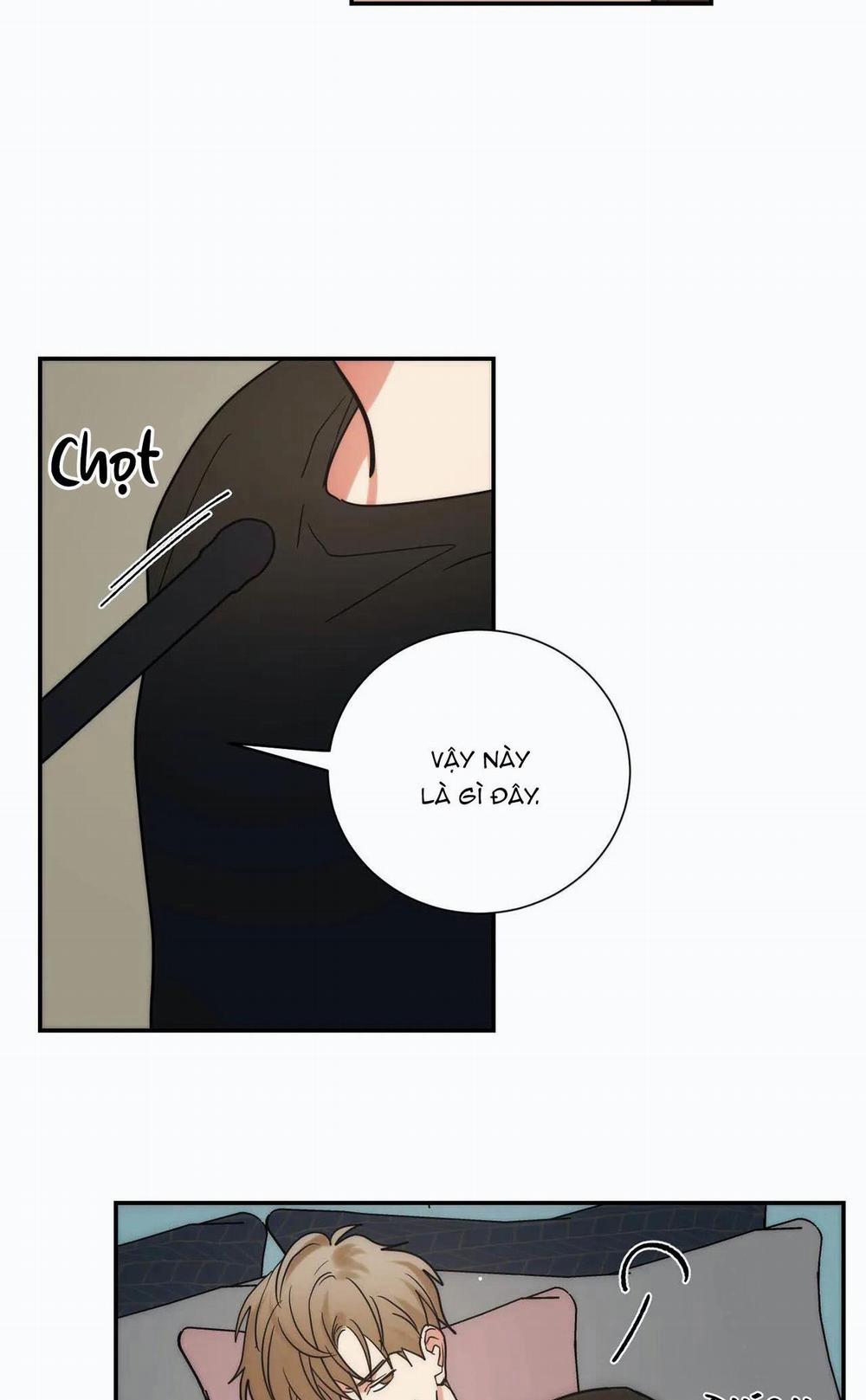 Mâu thuẫn và tương phản 78 trang 46