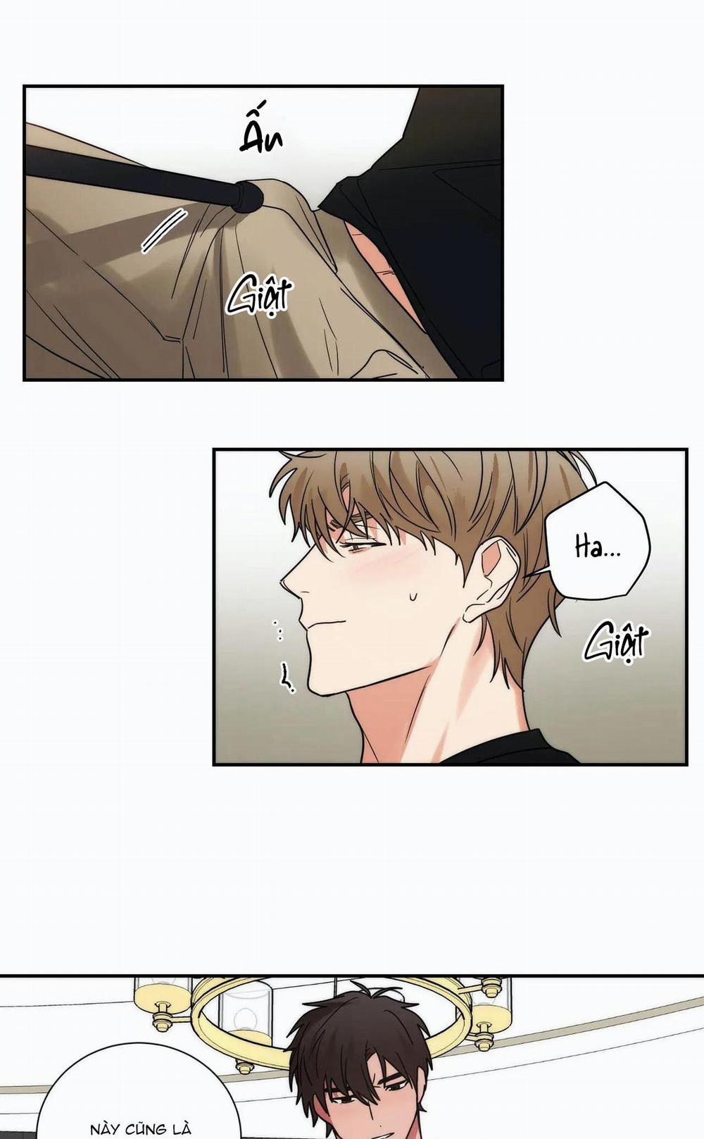 Mâu thuẫn và tương phản 78 trang 48