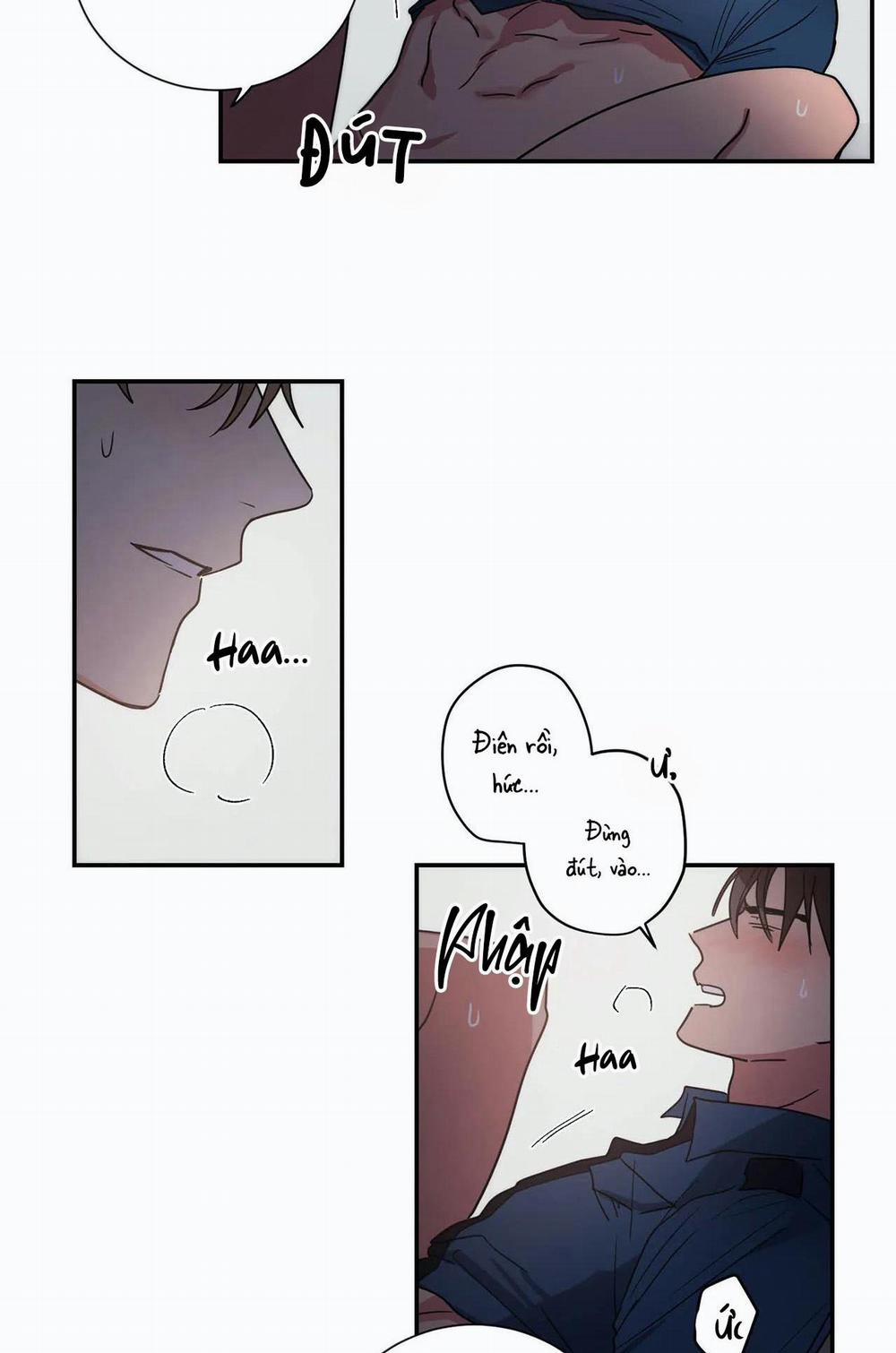 Mâu thuẫn và tương phản 79 END trang 11