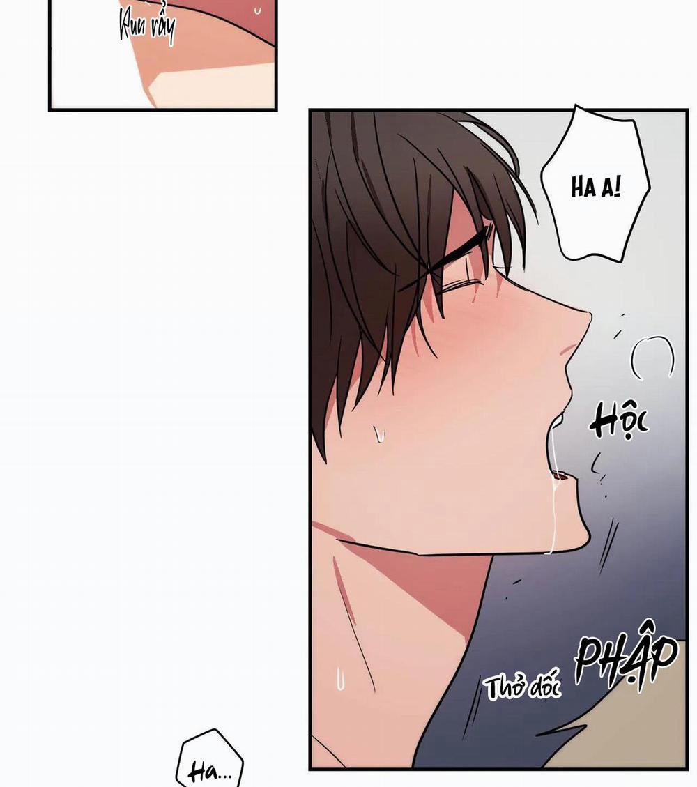 Mâu thuẫn và tương phản 79 END trang 22