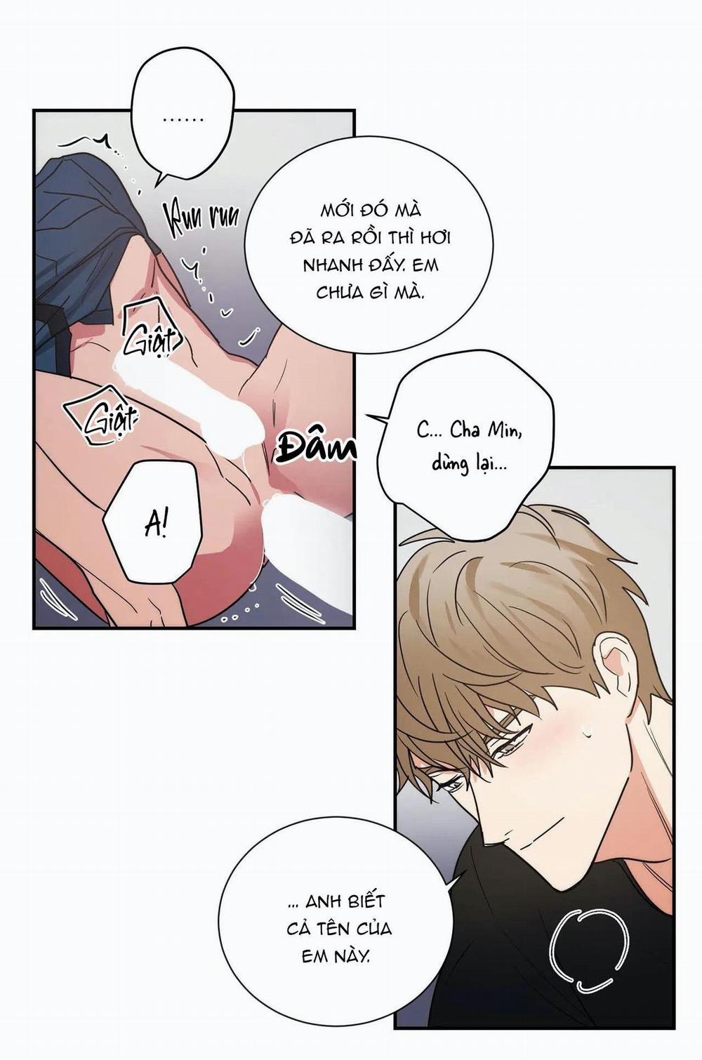 Mâu thuẫn và tương phản 79 trang 13