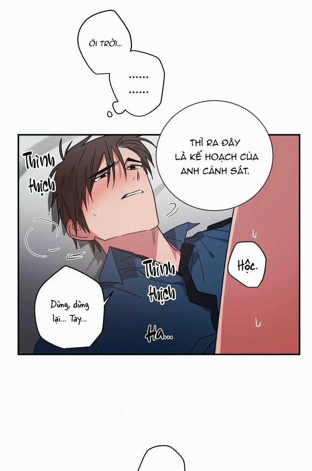 Mâu thuẫn và tương phản 79 trang 14