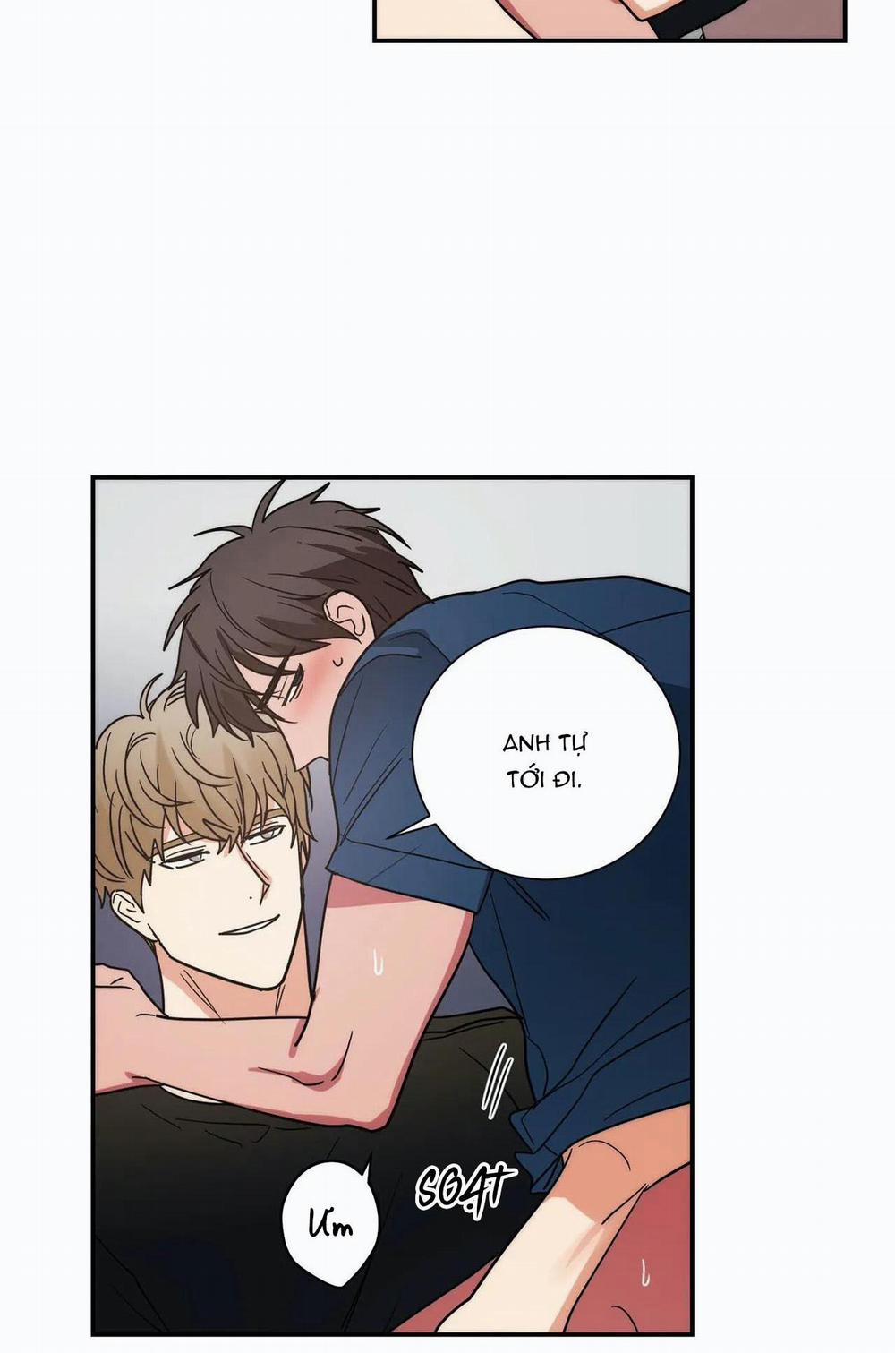 Mâu thuẫn và tương phản 79 trang 17