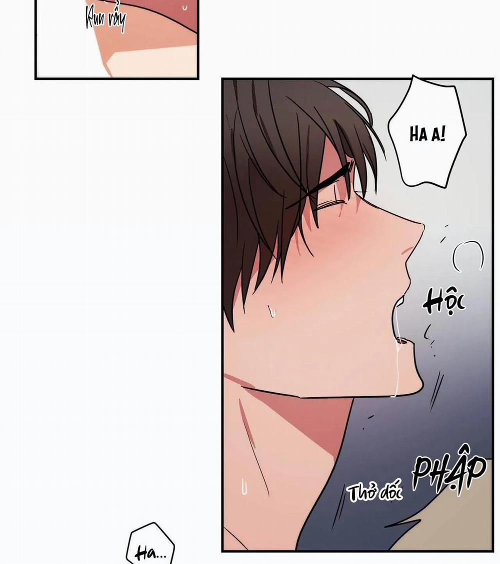 Mâu thuẫn và tương phản 79 trang 22