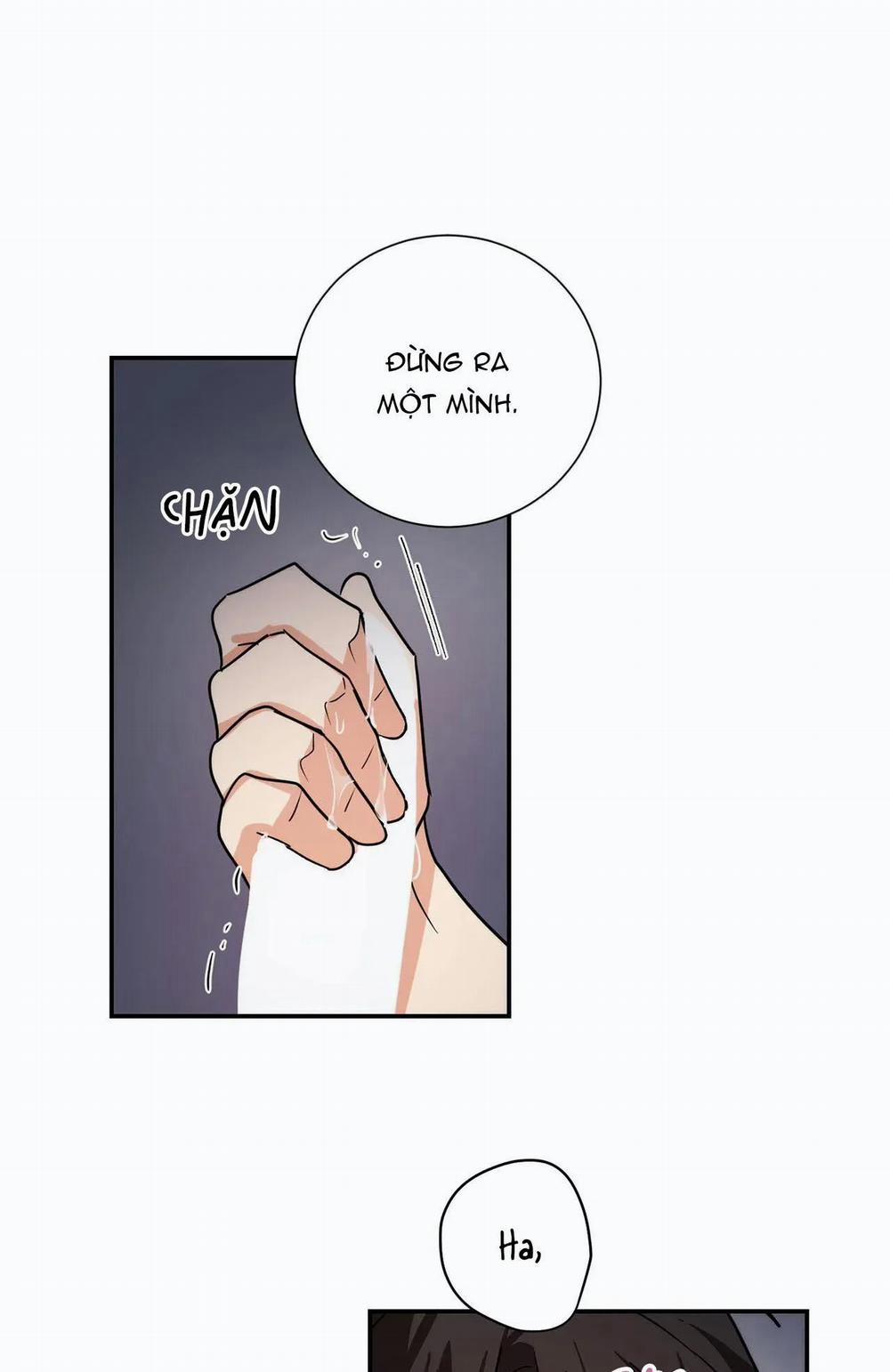 Mâu thuẫn và tương phản 79 trang 27