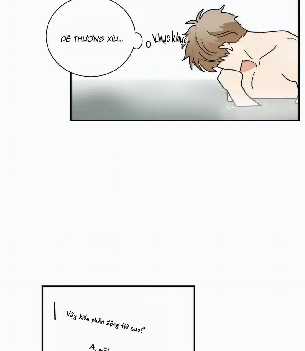 Mâu thuẫn và tương phản 79 trang 43