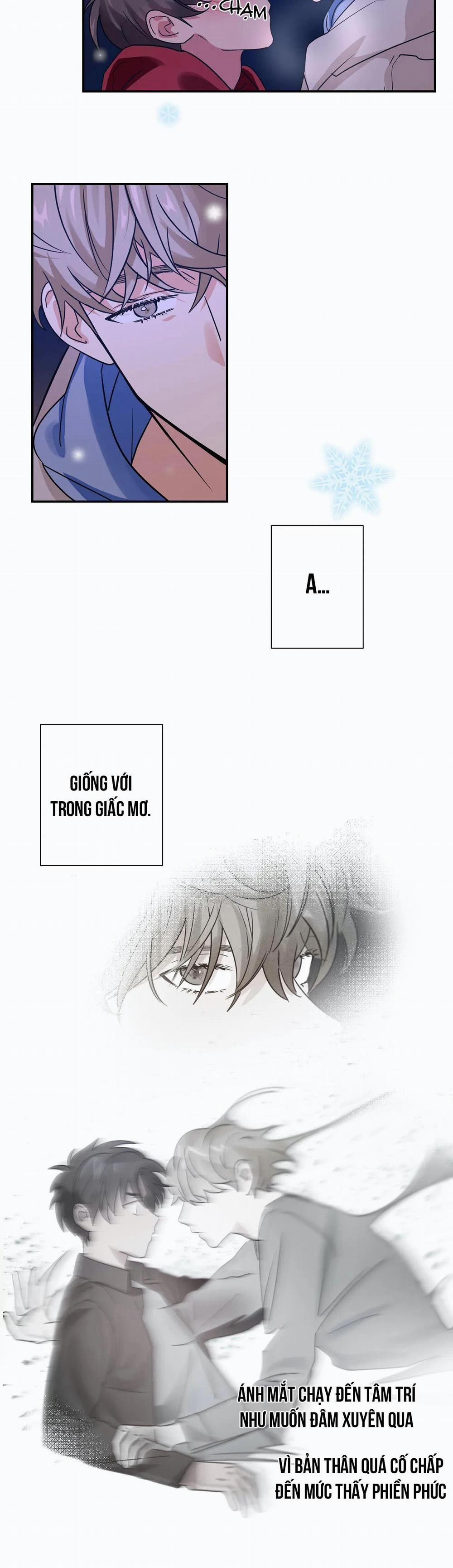 Mâu thuẫn và tương phản 8 trang 15