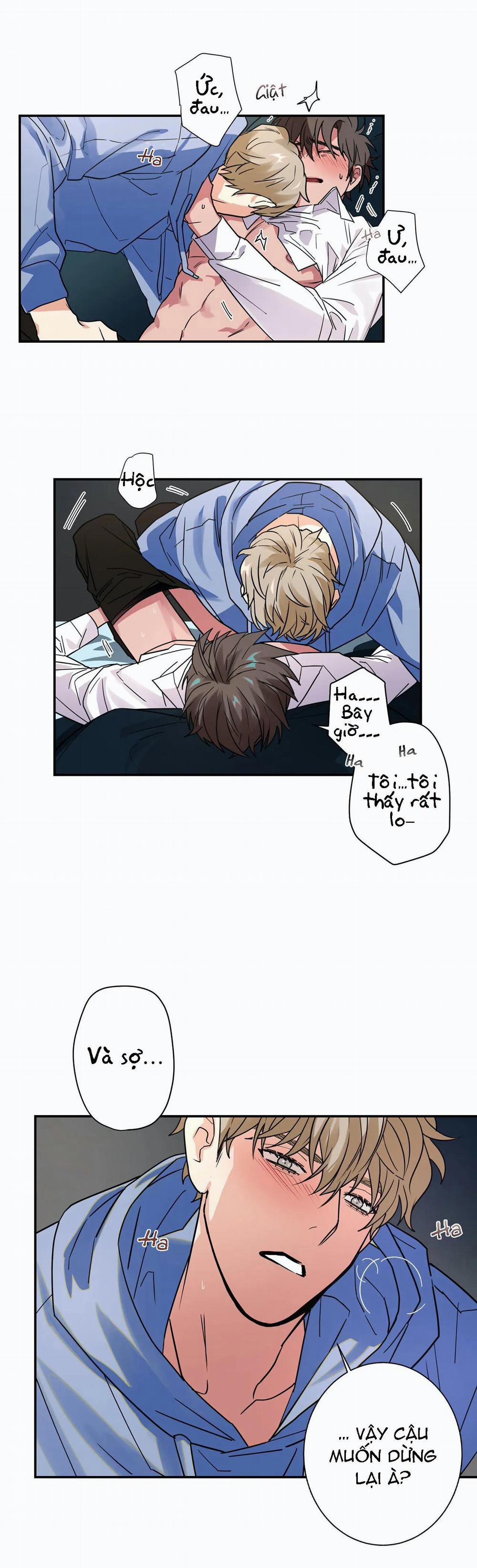 Mâu thuẫn và tương phản 9 trang 4