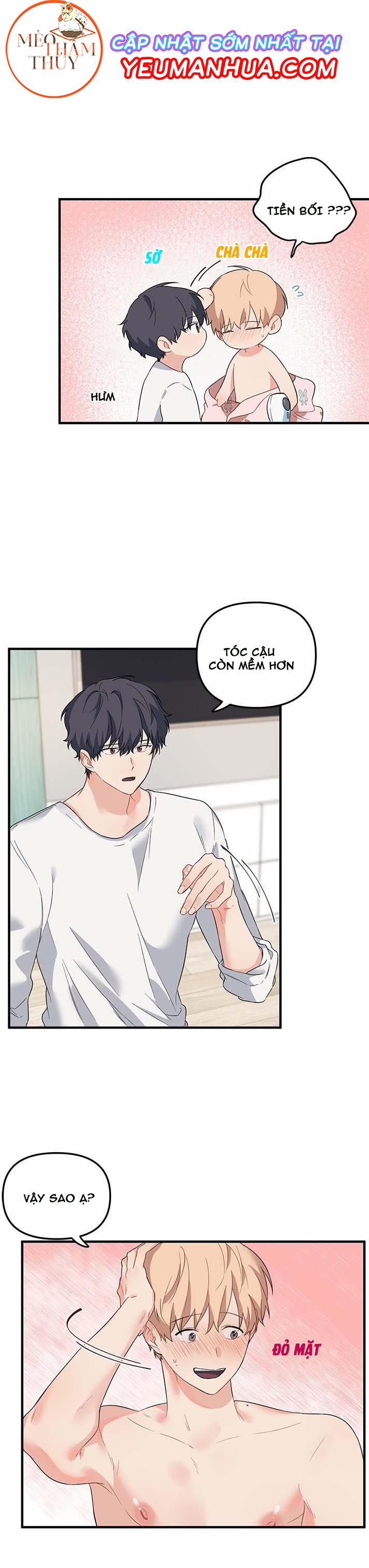 Máu Và Tình Yêu 13 trang 15