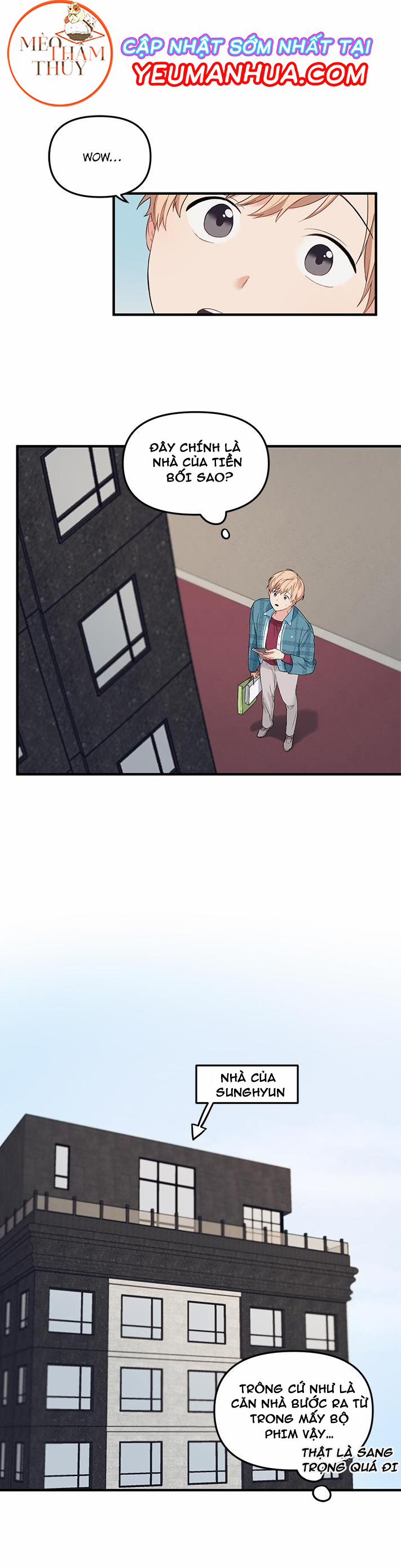 Máu Và Tình Yêu 15 trang 0