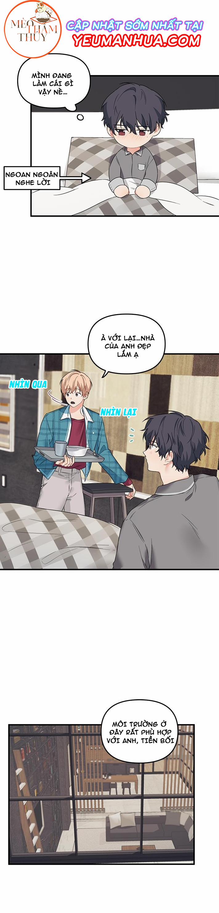 Máu Và Tình Yêu 15 trang 10