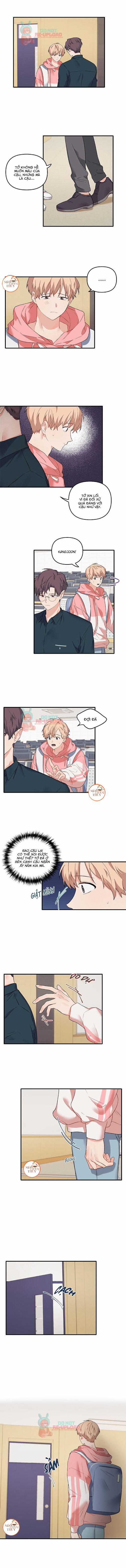 Máu Và Tình Yêu 22 trang 4