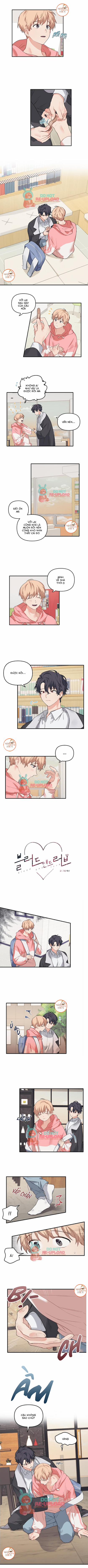 Máu Và Tình Yêu 23 trang 0