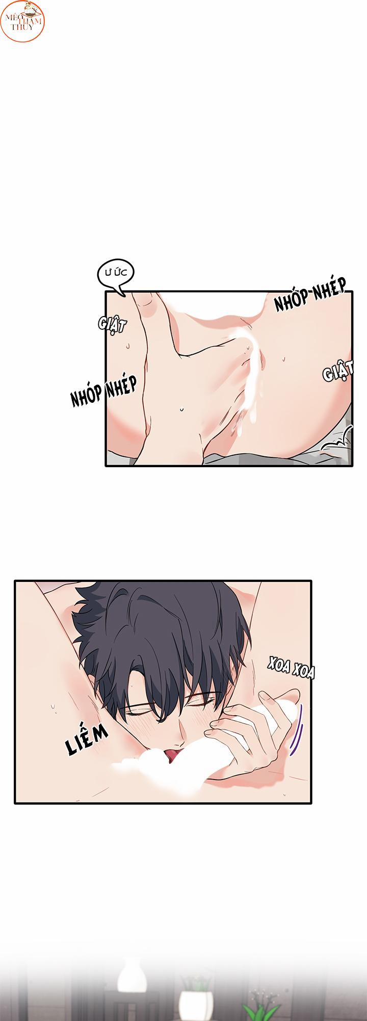 Máu Và Tình Yêu 25 trang 0