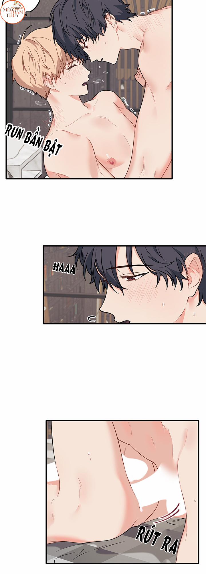 Máu Và Tình Yêu 25 trang 8