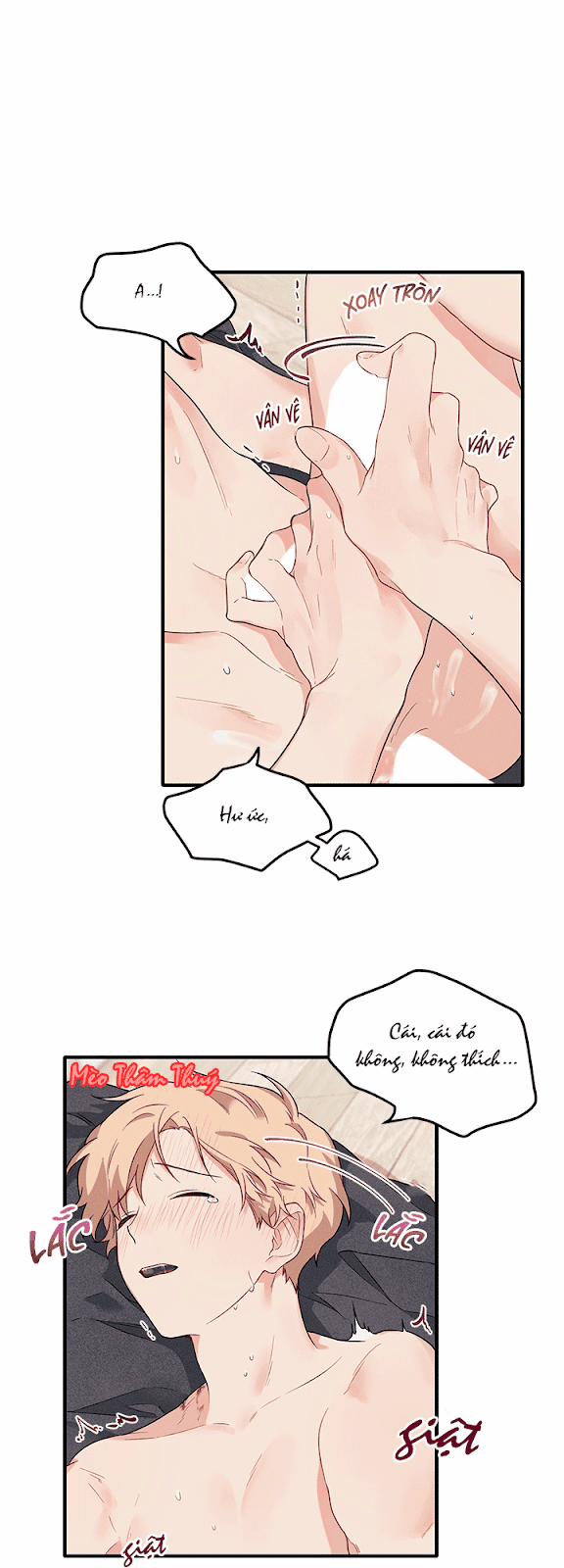 Máu Và Tình Yêu 27 trang 14