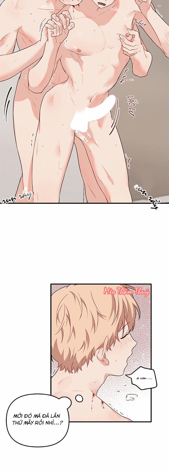 Máu Và Tình Yêu 27 trang 6