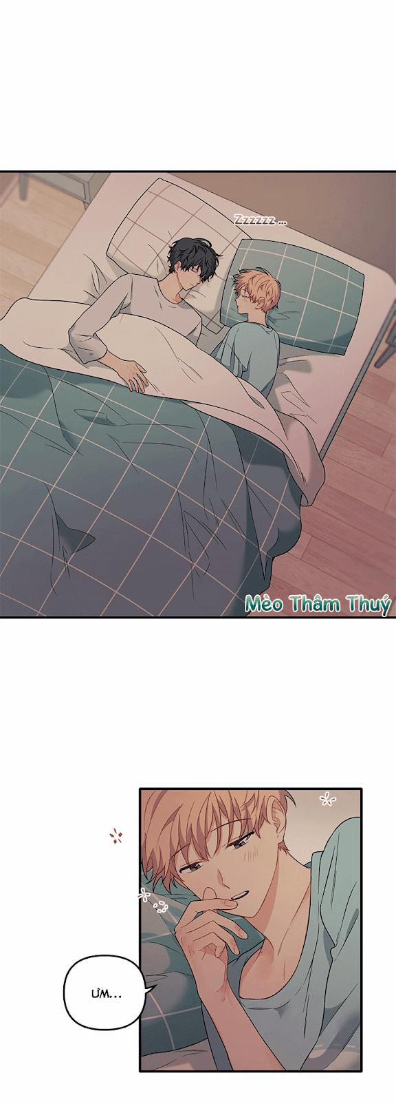 Máu Và Tình Yêu 28 trang 0