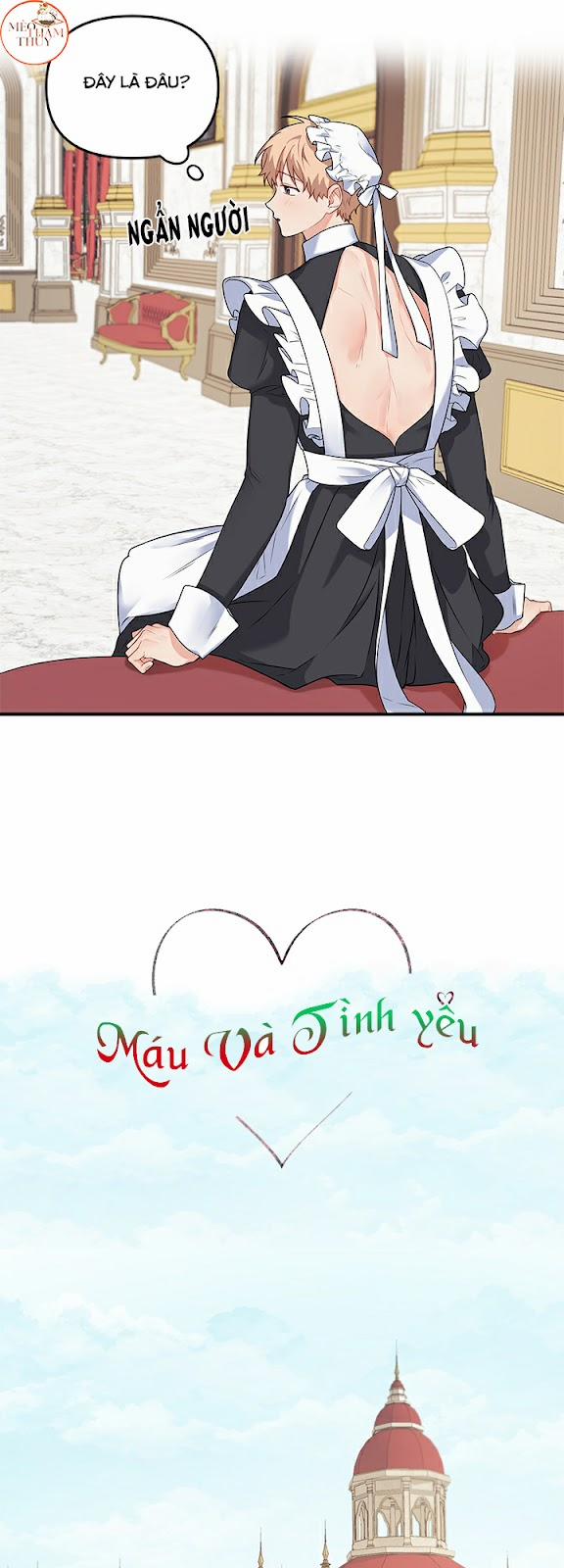 Máu Và Tình Yêu 31 trang 5