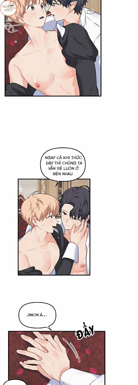 Máu Và Tình Yêu 32 trang 17