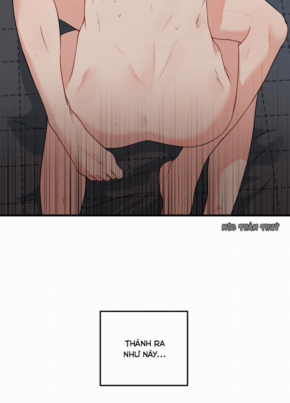 Máu Và Tình Yêu 35 trang 10