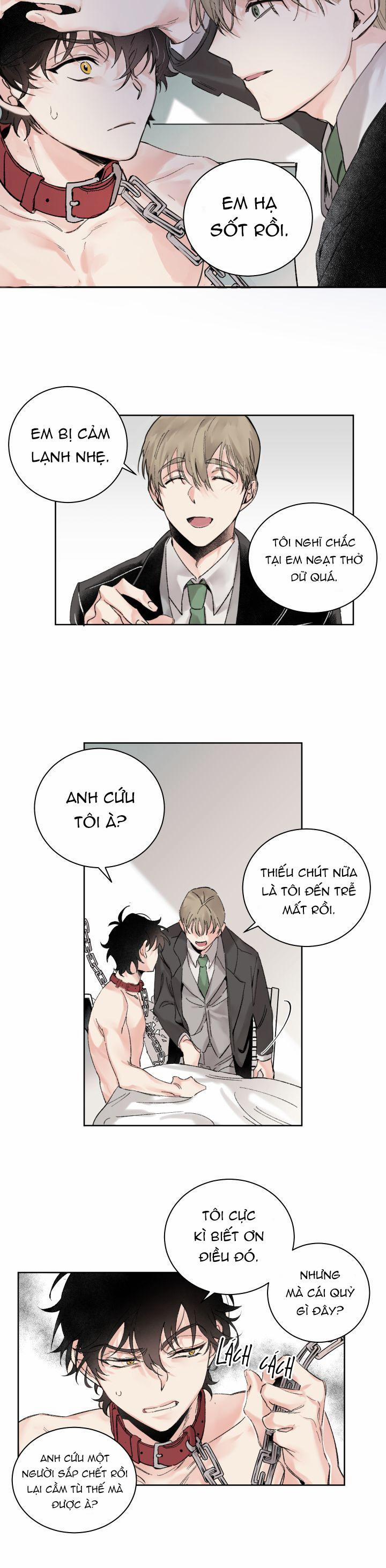 May Belongs To Me 1 trang 9