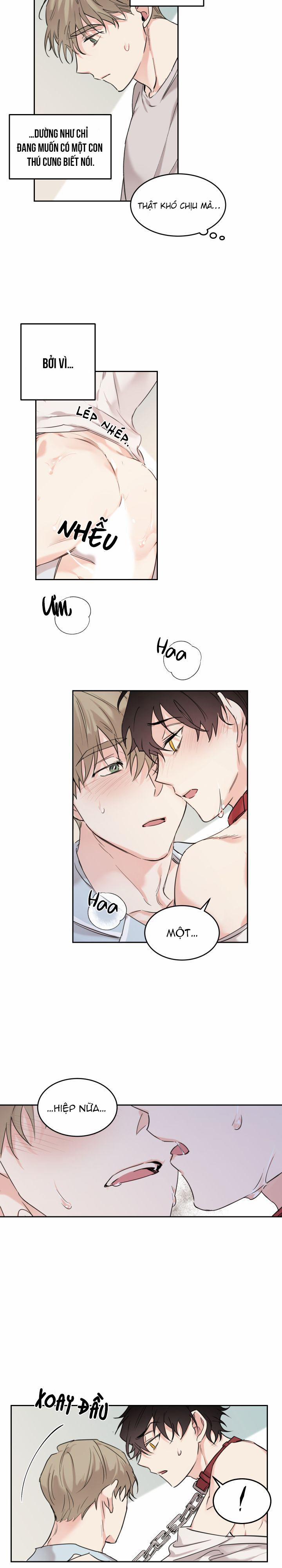 May Belongs To Me 10 trang 7