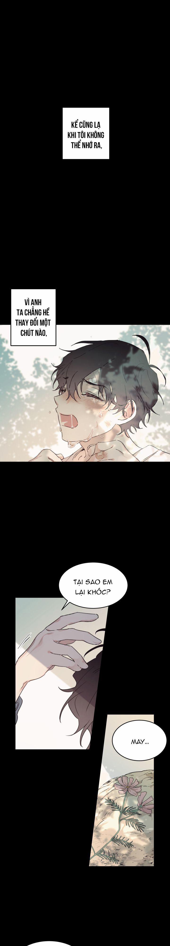 May Belongs To Me 11 trang 0