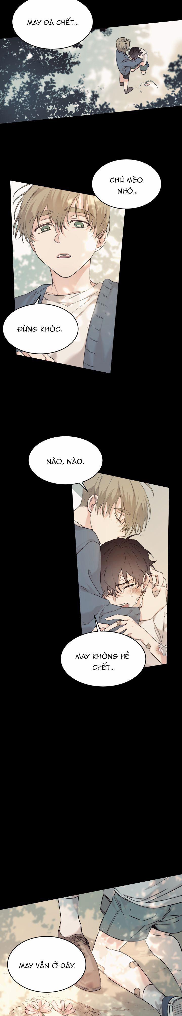 May Belongs To Me 11 trang 1