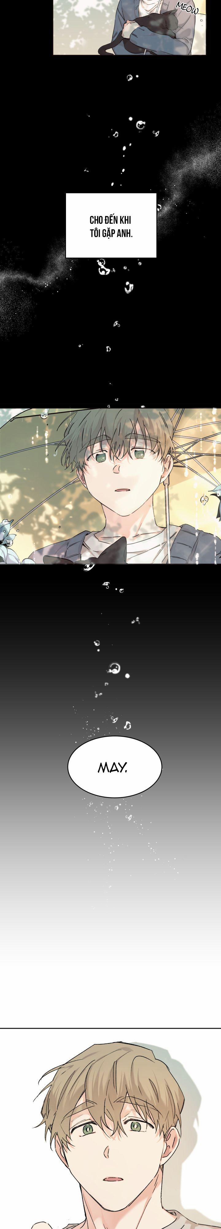 May Belongs To Me 11 trang 5