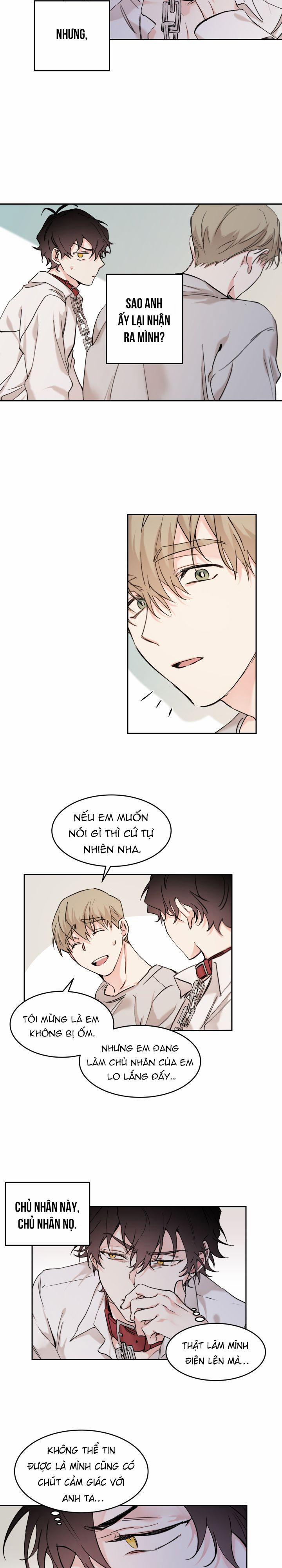 May Belongs To Me 11 trang 7