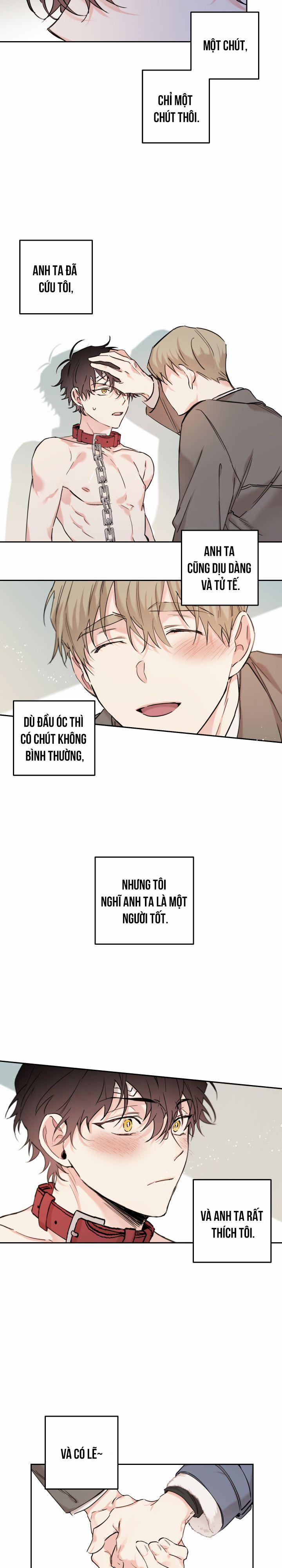 May Belongs To Me 11 trang 8