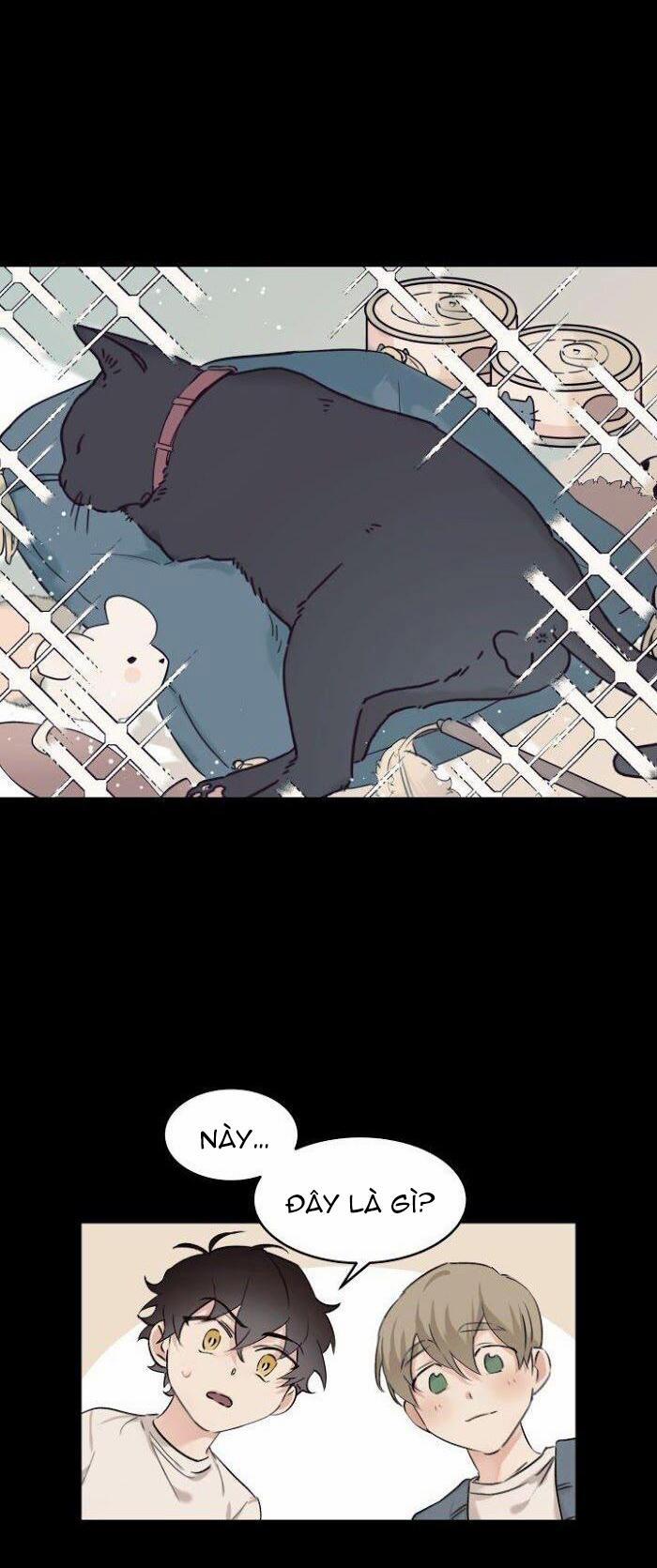 May Belongs To Me 12 trang 13