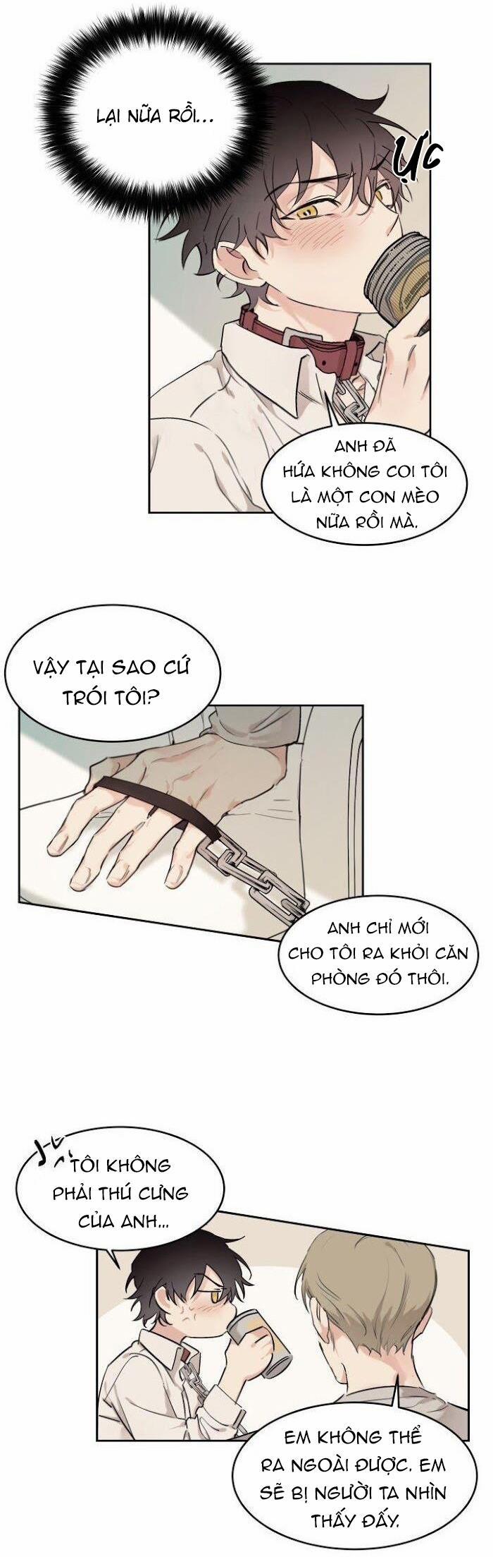 May Belongs To Me 12 trang 17