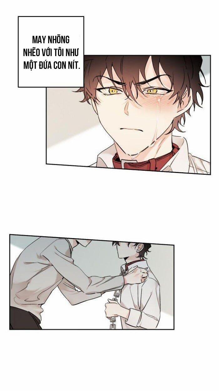 May Belongs To Me 12 trang 2