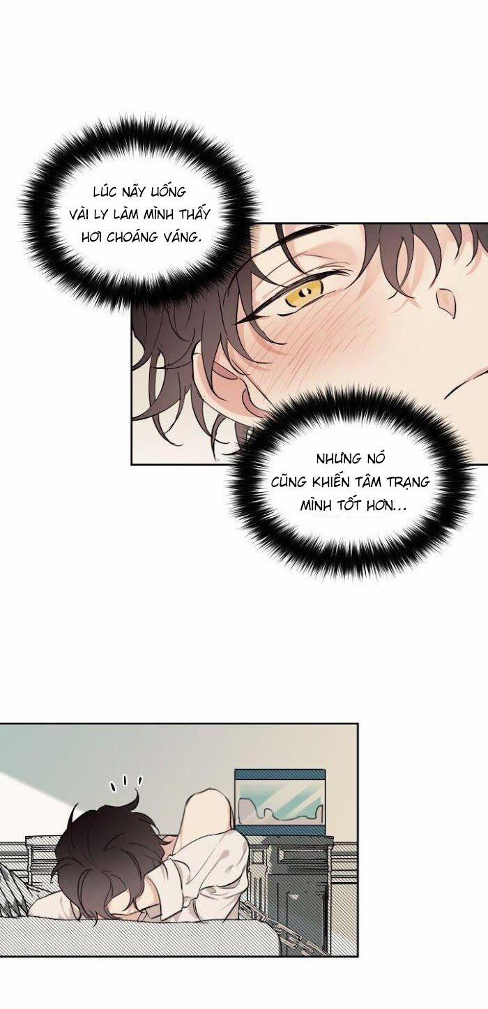 May Belongs To Me 12 trang 21