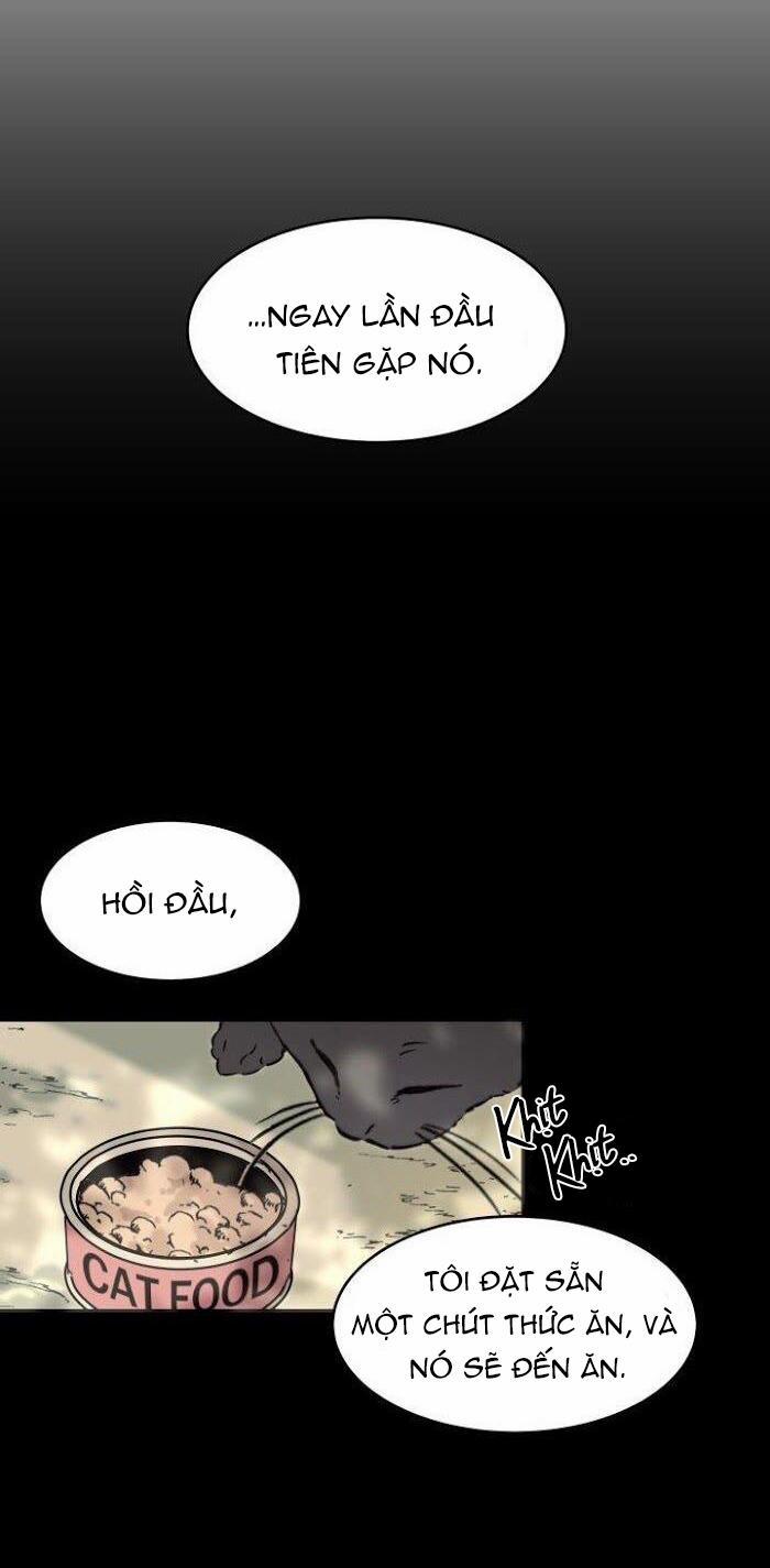 May Belongs To Me 12 trang 25