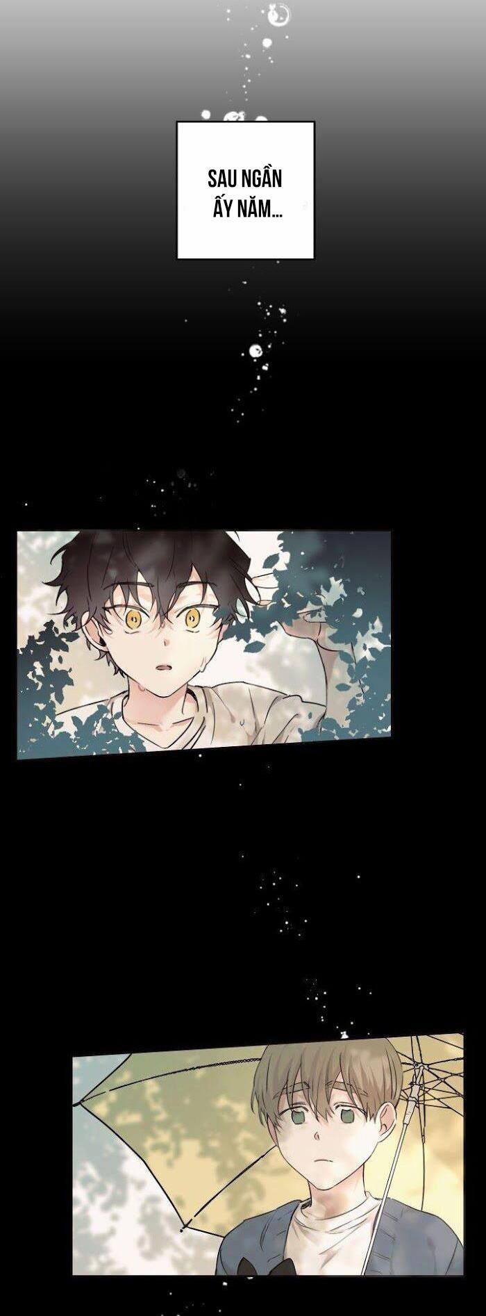 May Belongs To Me 12 trang 4