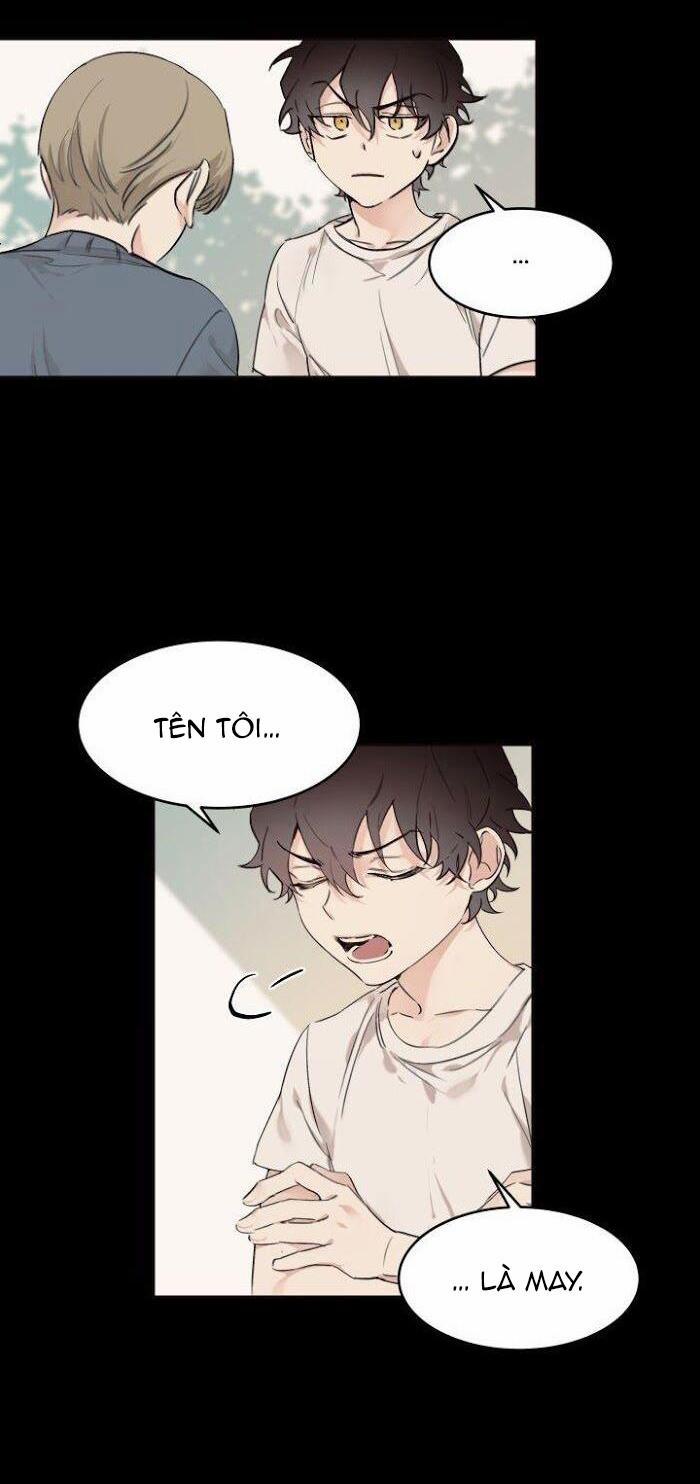 May Belongs To Me 12 trang 7