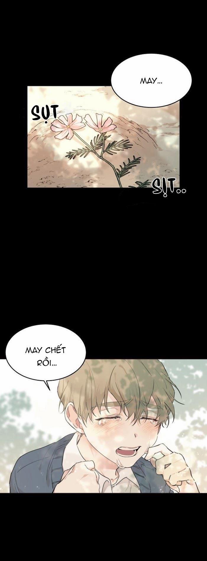 May Belongs To Me 13 trang 14