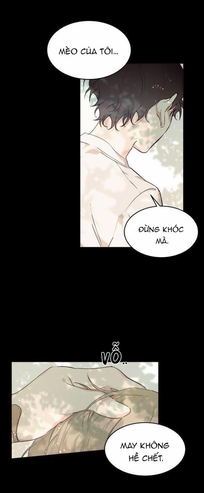 May Belongs To Me 13 trang 15