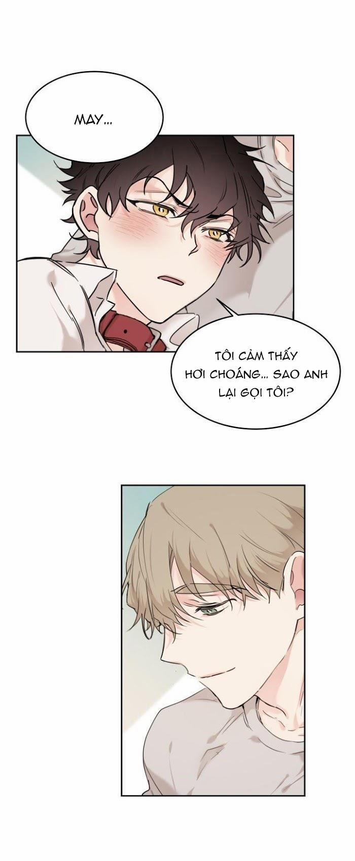 May Belongs To Me 13 trang 19