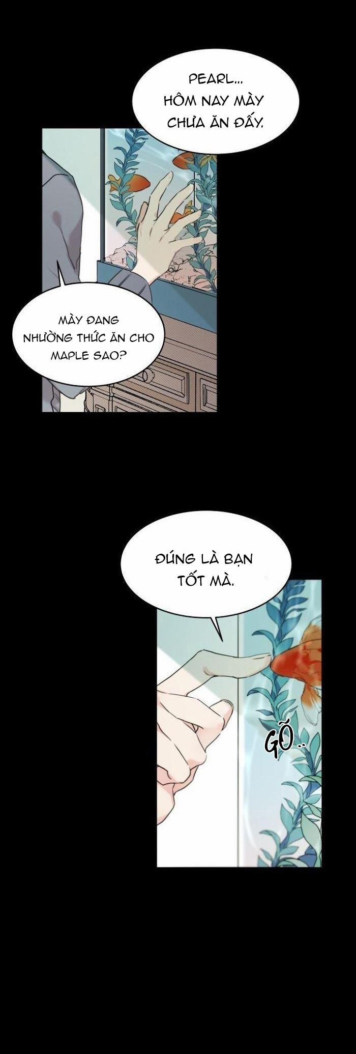 May Belongs To Me 13 trang 8