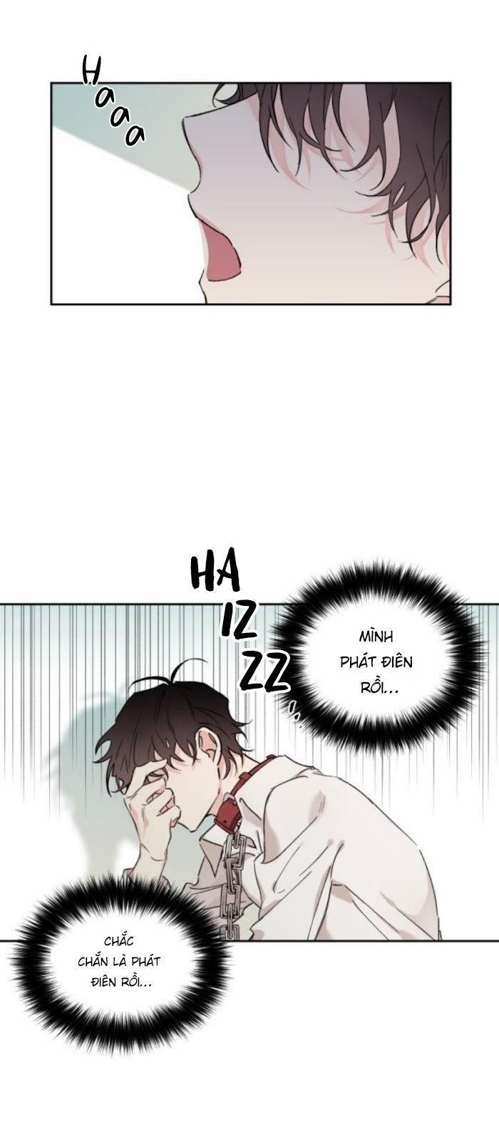 May Belongs To Me 14 trang 0