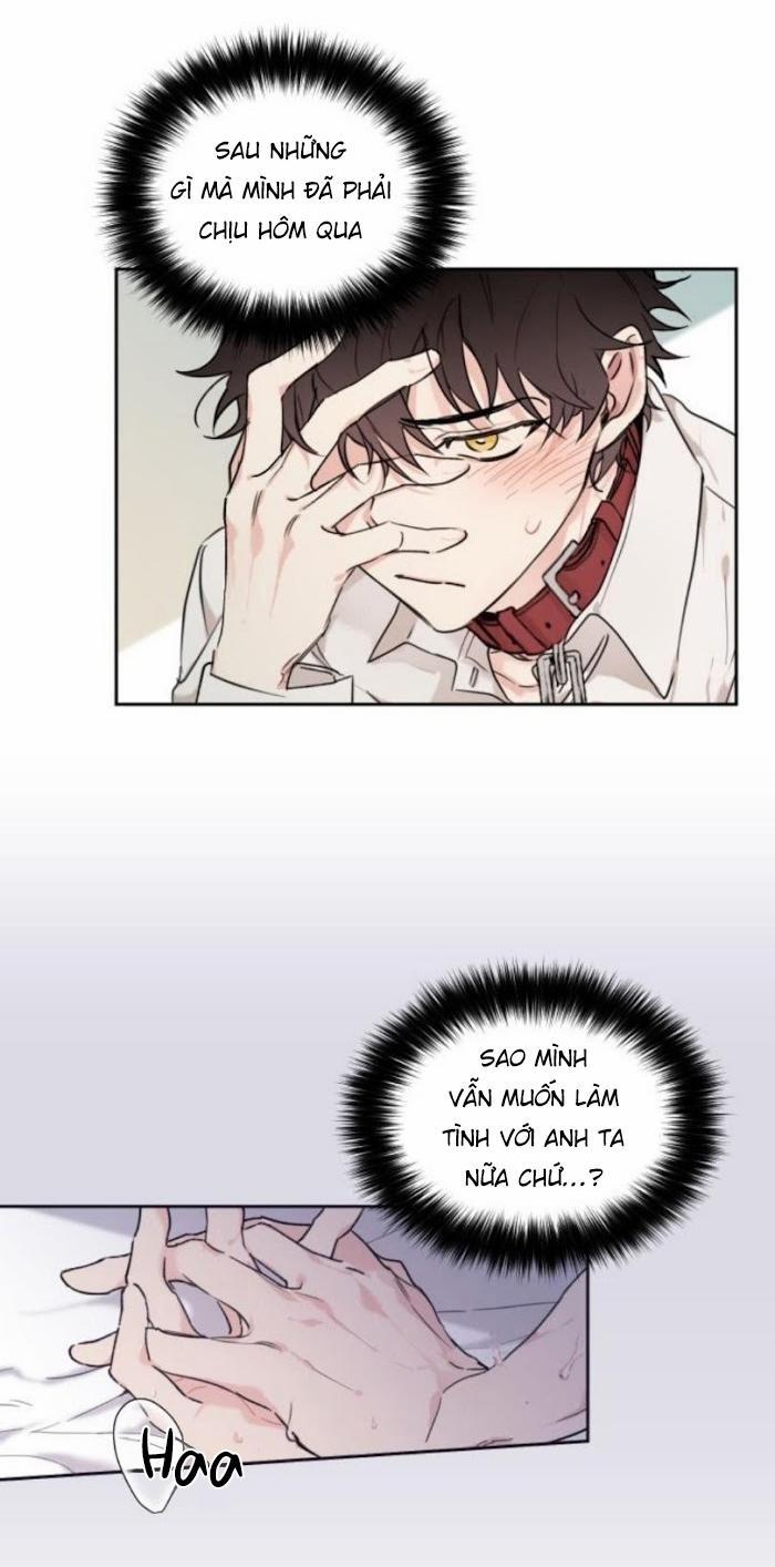 May Belongs To Me 14 trang 1