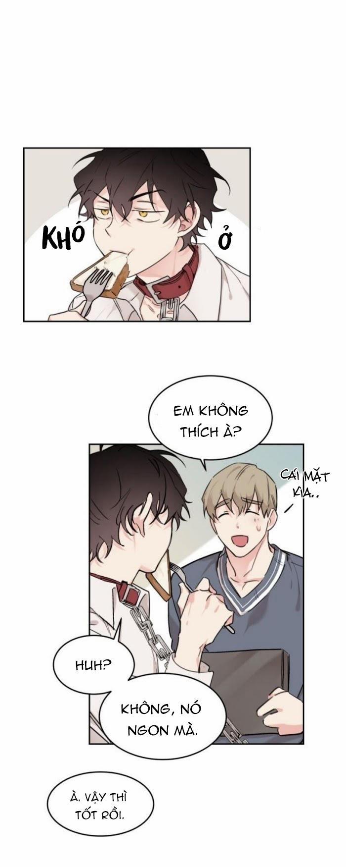 May Belongs To Me 14 trang 12